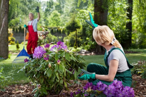 Patio, planting, and lawn redesign for a Walthamstow home