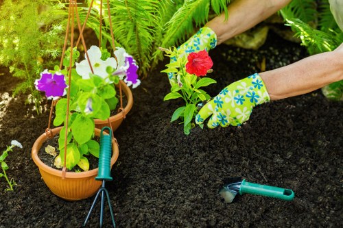 Complaint review for a landscaping project in progress