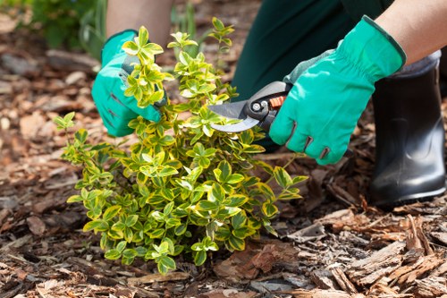 Inclusive access message for landscaping services in the Walthamstow area
