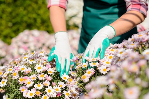 Finished porcelain paving design suited to Walthamstow homes