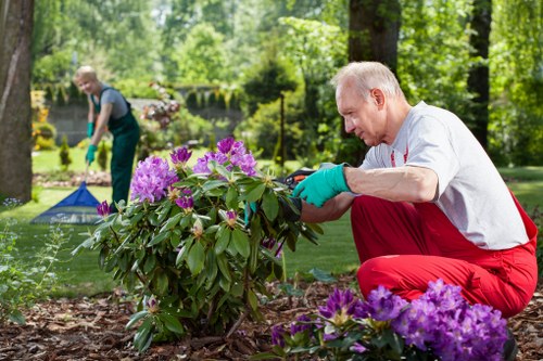 Accessibility-focused image for Walthamstow landscaping information