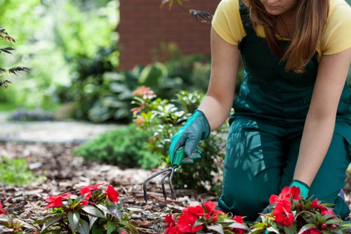 Local hard landscaping team working on a garden transformation in Walthamstow