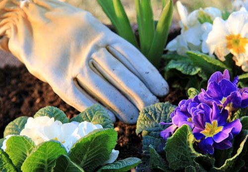Garden clearance quote details for a Walthamstow property