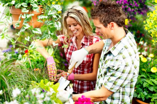 Seasonal planting and green borders in an urban garden