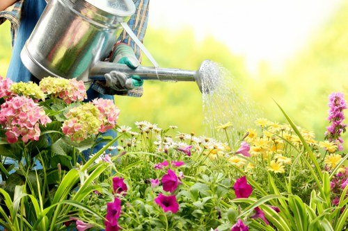 Transparent pricing factors for a landscaping job in Walthamstow
