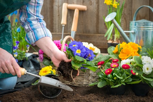 Professional landscaping safety standards in Walthamstow