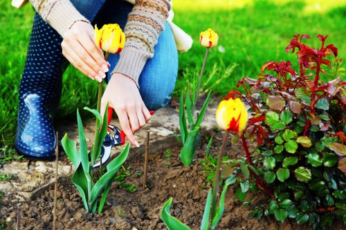 Local team planning a garden makeover with access considerations in Walthamstow