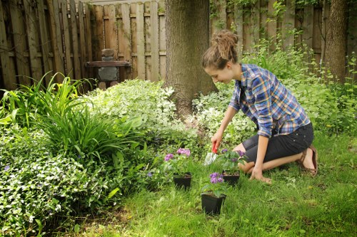 A newly laid lawn in a local Walthamstow back garden
