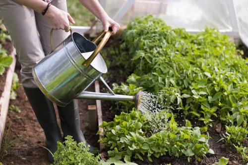 Professional garden planning and layout for Walthamstow homes