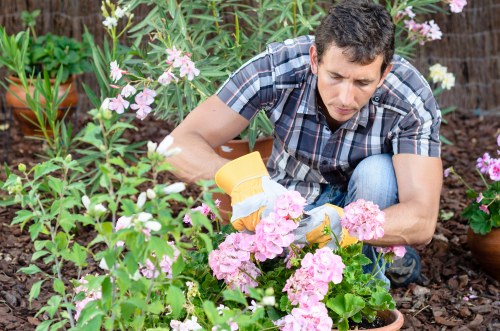 Local soft landscaping work suited to Walthamstow homes and narrow outdoor spaces
