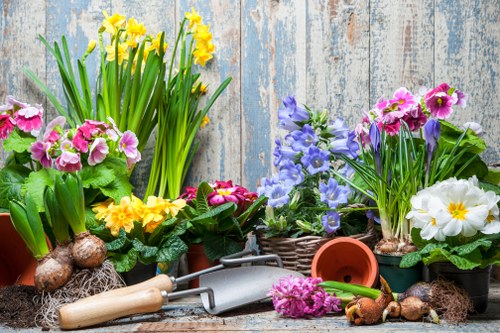 Planning and layout ideas for a local Walthamstow garden redesign